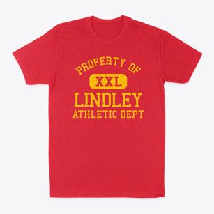Lindley New York Athletic Dept Classic Dad T-Shirt