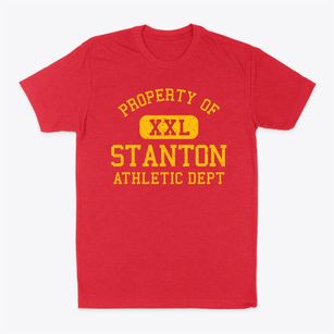Stanton Iowa Athletic Dept Classic Dad T-Shirt