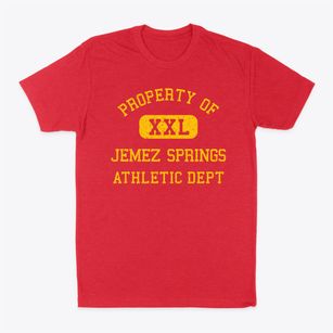 Jemez Springs New Mexico Athletic Dept Classic Dad T-Shirt