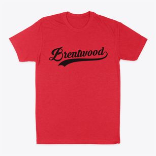 Brentwood Tennessee Vintage Team Classic Dad T-Shirt