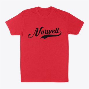 Norwell Massachusetts Vintage Team Classic Dad T-Shirt