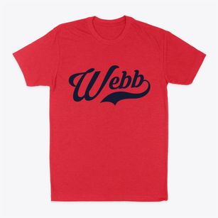 Webb Mississippi Vintage Team Classic Dad T-Shirt