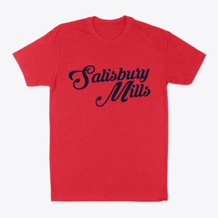 Salisbury Mills New York Vintage Team Classic Dad T-Shirt