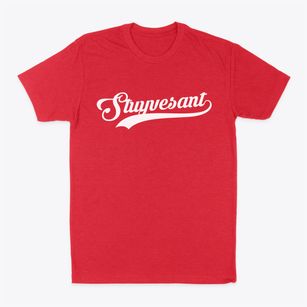 Stuyvesant New York Vintage Team Classic Dad T-Shirt