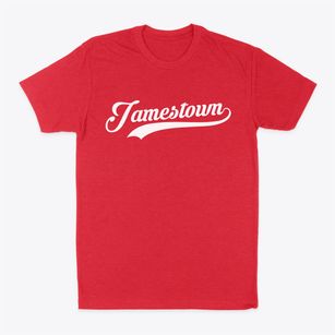 Jamestown New York Vintage Team Classic Dad T-Shirt