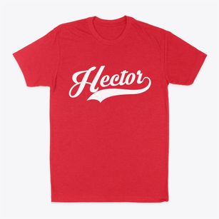 Hector Minnesota Vintage Team Classic Dad T-Shirt