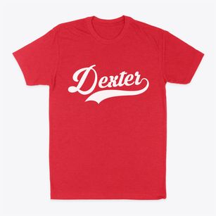 Dexter Wisconsin Vintage Team Classic Dad T-Shirt