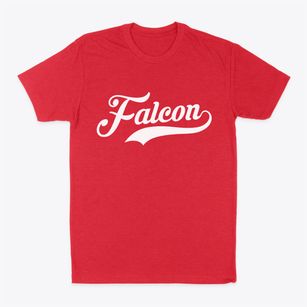 Falcon North Carolina Vintage Team Classic Dad T-Shirt