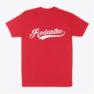 Rodanthe North Carolina Vintage Team Classic Dad T-Shirt