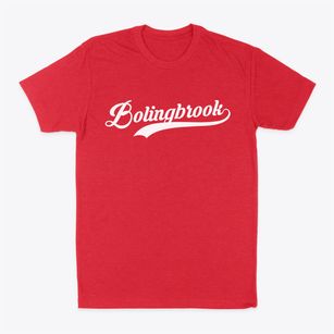 Bolingbrook Illinois Vintage Team Classic Dad T-Shirt