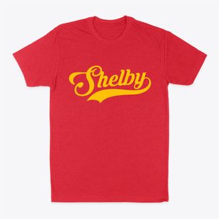 Shelby New York Vintage Team Classic Dad T-Shirt