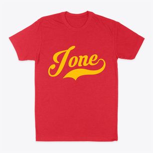 Ione Washington Vintage Team Classic Dad T-Shirt