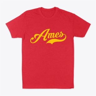 Ames Iowa Vintage Team Classic Dad T-Shirt