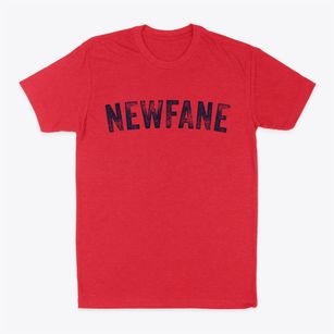 Newfane New York Timeless Retro Classic Dad T-Shirt