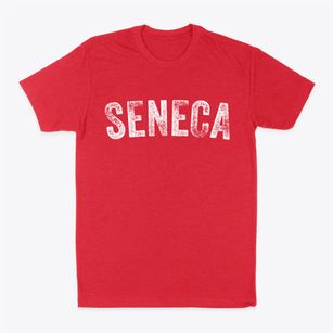 Seneca Illinois Timeless Retro Classic Dad T-Shirt