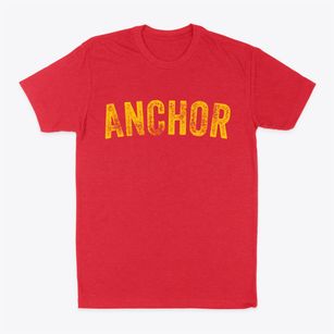 Anchor Illinois Timeless Retro Classic Dad T-Shirt