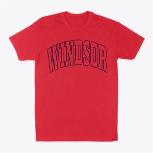 Windsor Wisconsin Trendy Block Classic Dad T-Shirt