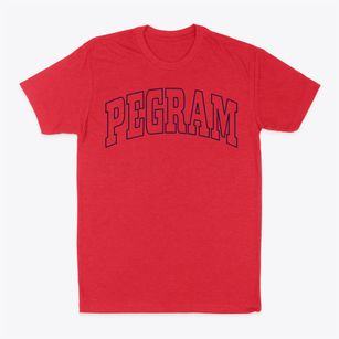 Pegram Tennessee Trendy Block Classic Dad T-Shirt