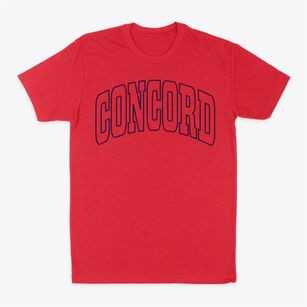 Concord Missouri Trendy Block Classic Dad T-Shirt