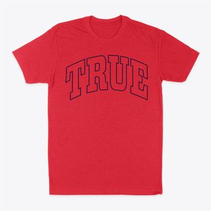 True Wisconsin Trendy Block Classic Dad T-Shirt