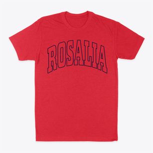 Rosalia Kansas Trendy Block Classic Dad T-Shirt