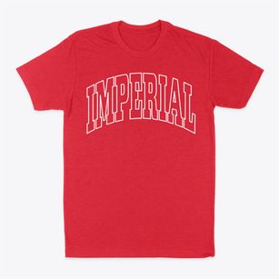 Imperial Pennsylvania Trendy Block Classic Dad T-Shirt