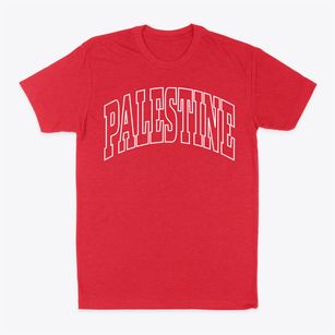Palestine Illinois Trendy Block Classic Dad T-Shirt