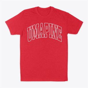 Umapine Oregon Trendy Block Classic Dad T-Shirt
