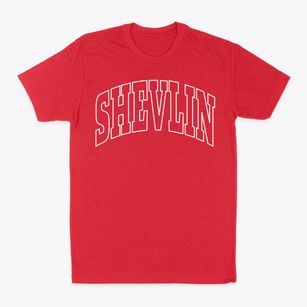 Shevlin Minnesota Trendy Block Classic Dad T-Shirt