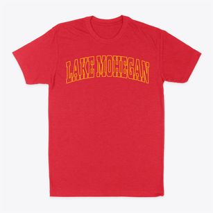 Lake Mohegan New York Trendy Block Classic Dad T-Shirt