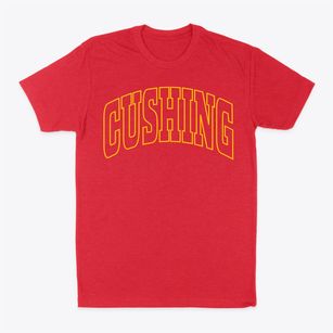 Cushing Maine Trendy Block Classic Dad T-Shirt