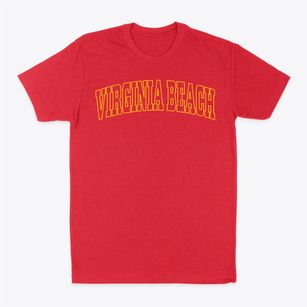 Virginia Beach Virginia Trendy Block Classic Dad T-Shirt
