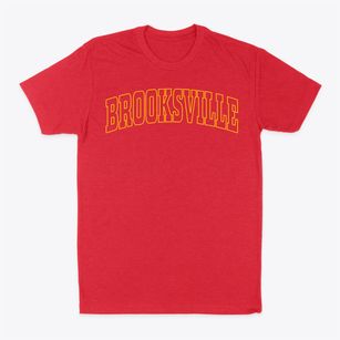 Brooksville Florida Trendy Block Classic Dad T-Shirt