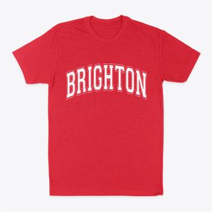 Brighton Vermont Varsity Classic Dad T-Shirt