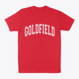 Goldfield Iowa Varsity Classic Dad T-Shirt
