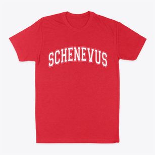 Schenevus New York Varsity Classic Dad T-Shirt