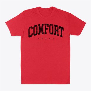 Comfort Texas Urban Vibe Classic Dad T-Shirt