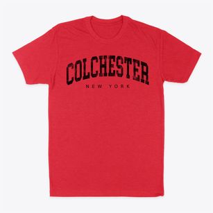 Colchester New York Urban Vibe Classic Dad T-Shirt