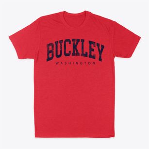 Buckley Washington Urban Vibe Classic Dad T-Shirt