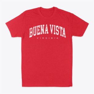 Buena Vista Virginia Urban Vibe Classic Dad T-Shirt