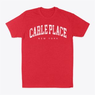 Carle Place New York Urban Vibe Classic Dad T-Shirt