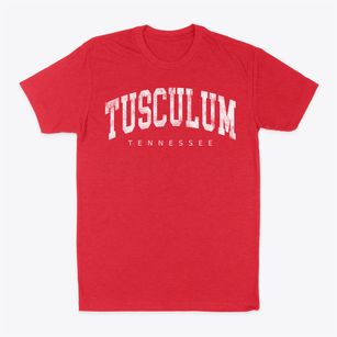 Tusculum Tennessee Urban Vibe Classic Dad T-Shirt