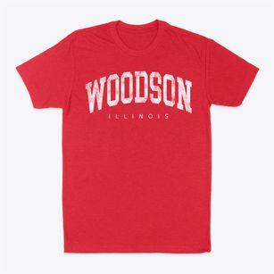 Woodson Illinois Urban Vibe Classic Dad T-Shirt