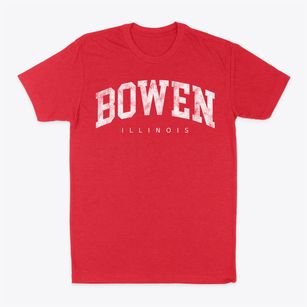 Bowen Illinois Urban Vibe Classic Dad T-Shirt