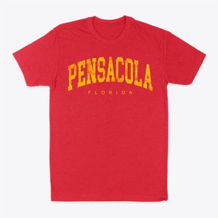 Pensacola Florida Urban Vibe Classic Dad T-Shirt