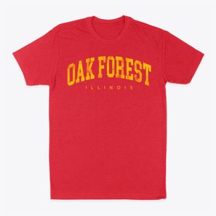 Oak Forest Illinois Urban Vibe Classic Dad T-Shirt