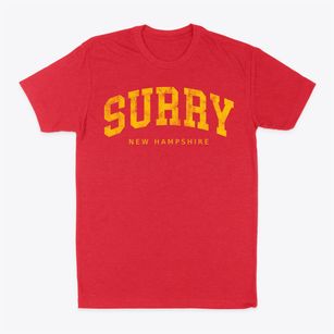 Surry New Hampshire Urban Vibe Classic Dad T-Shirt