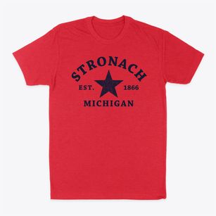 Stronach Michigan Star Classic Dad T-Shirt