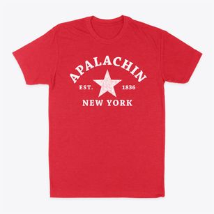 Apalachin New York Star Classic Dad T-Shirt