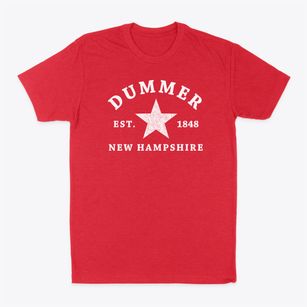 Dummer New Hampshire Star Classic Dad T-Shirt